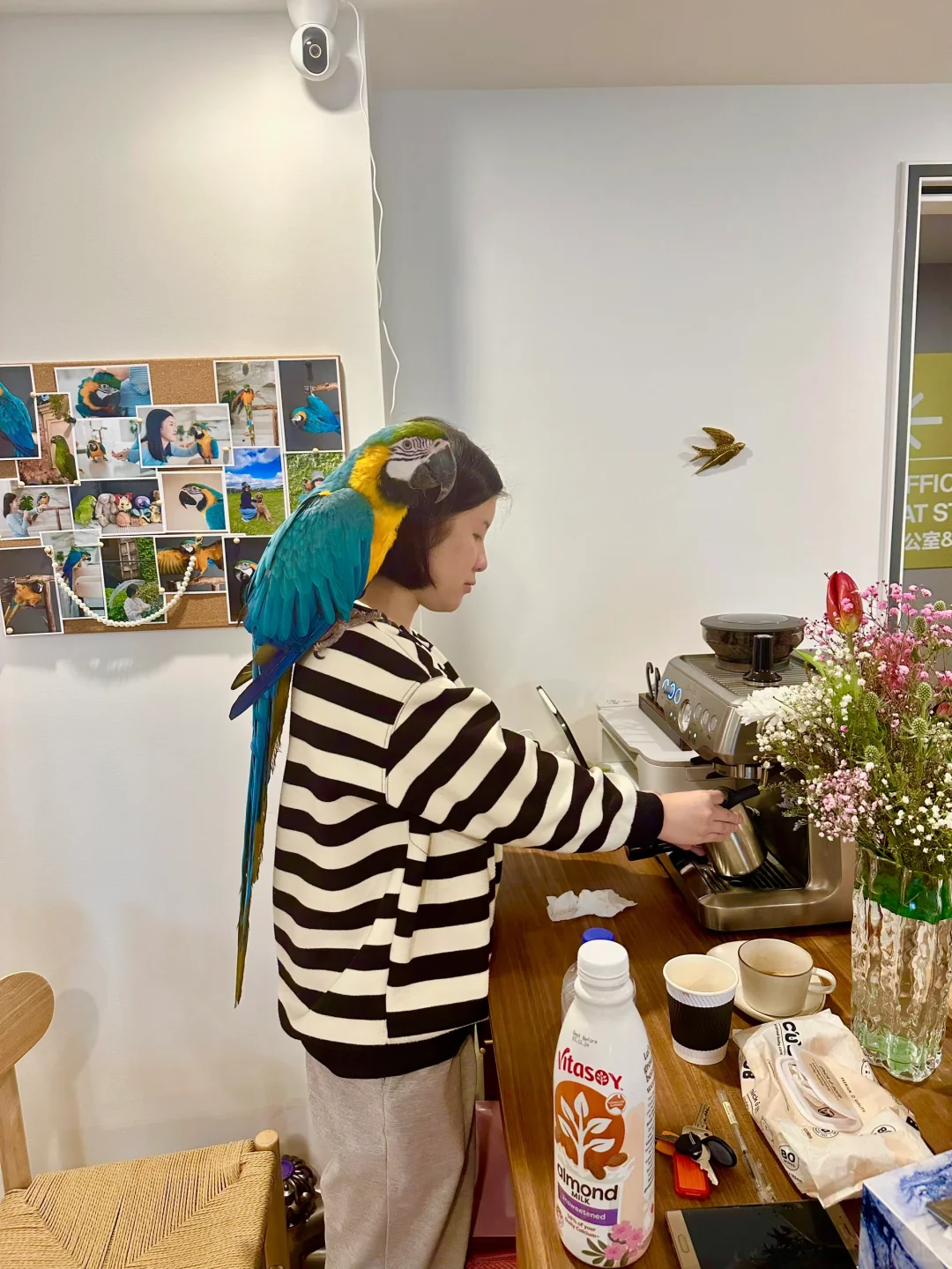 🦜“站在妈妈身上监督她打咖啡”