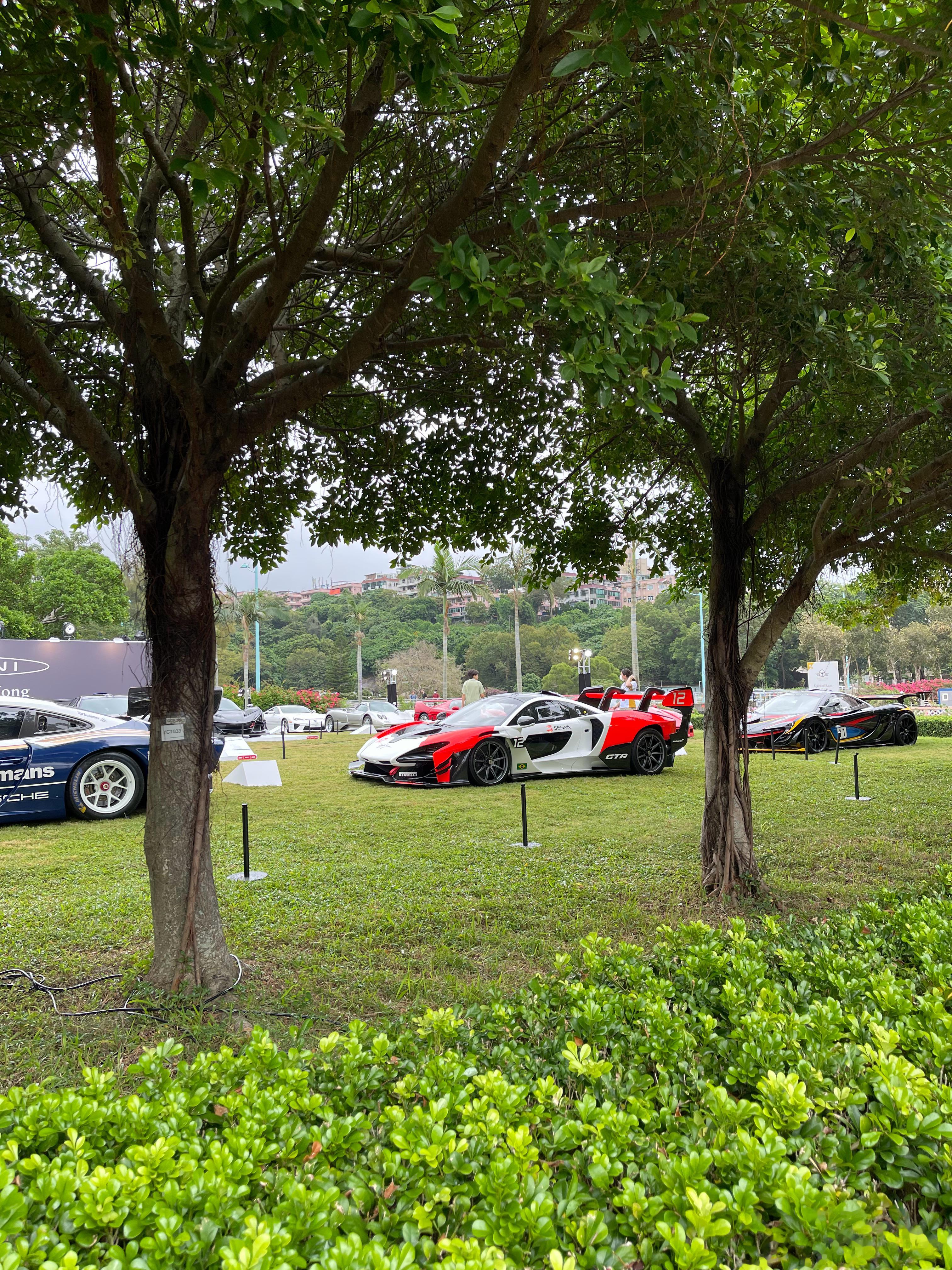 早[嘻嘻] ​​​