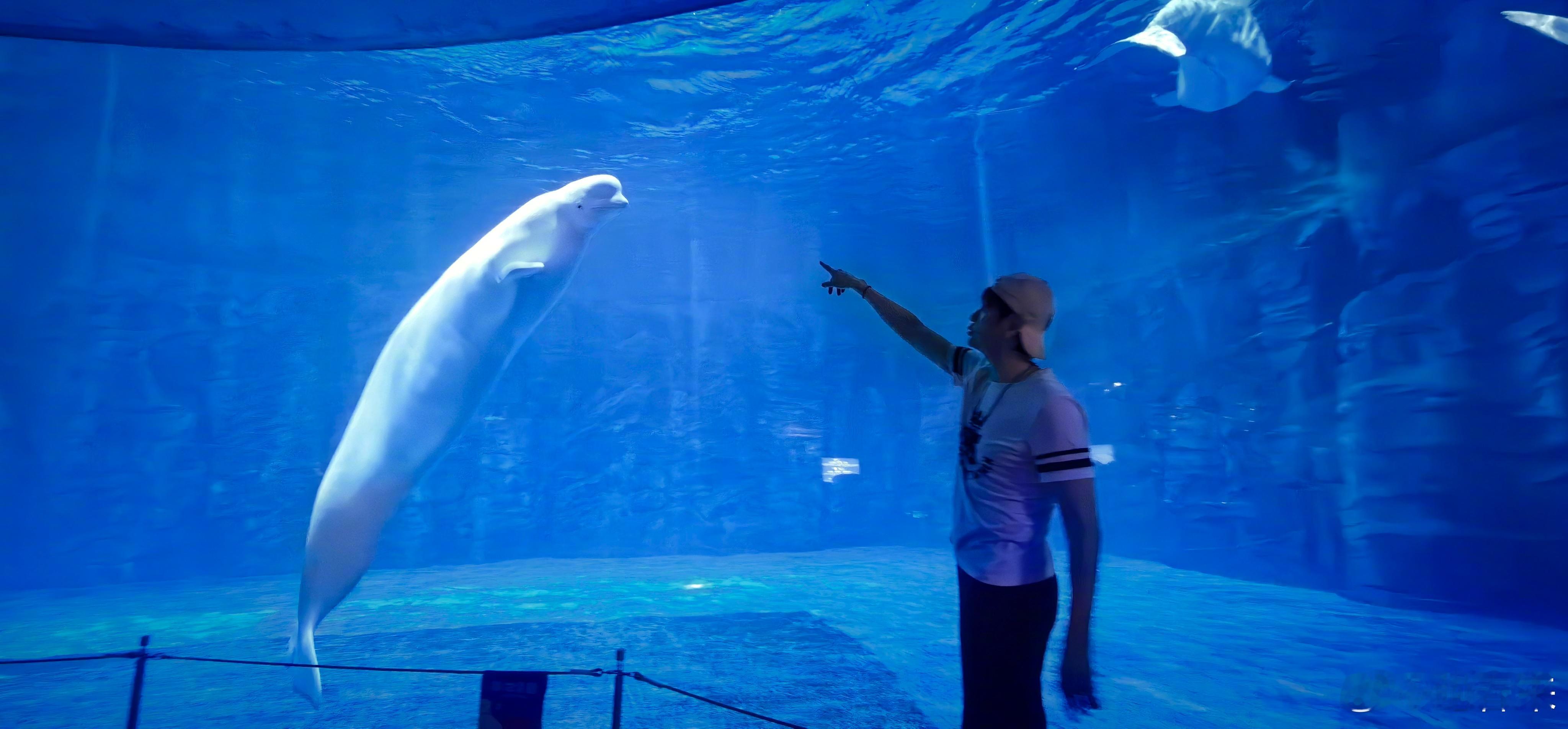不负每一次热爱 非常有灵性且和人类友好的动物，我跟动物有缘