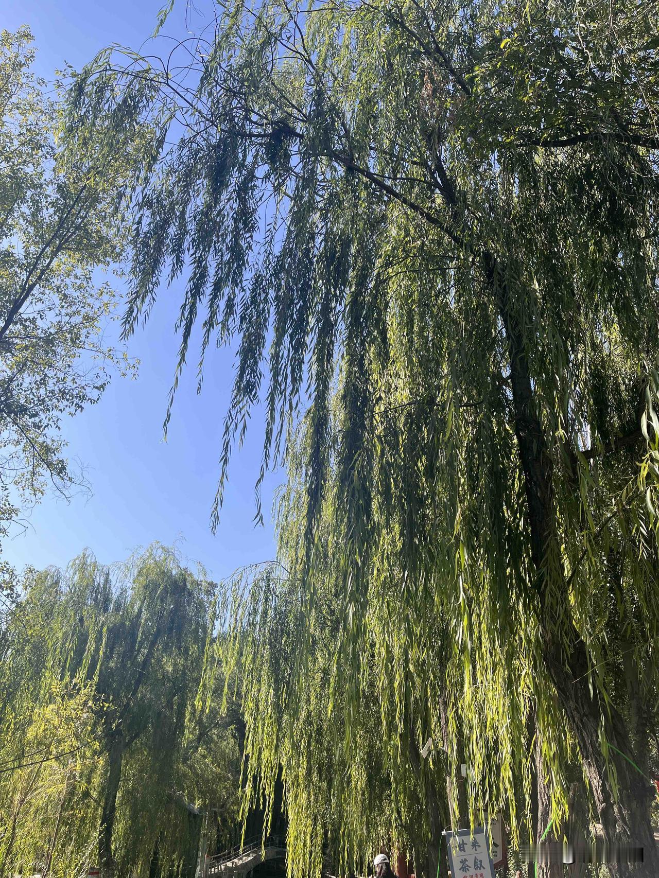 一杯清茶，一本好书，就像是一个灵魂的知己，在你孤独的时候，默默的陪伴着你，在你心