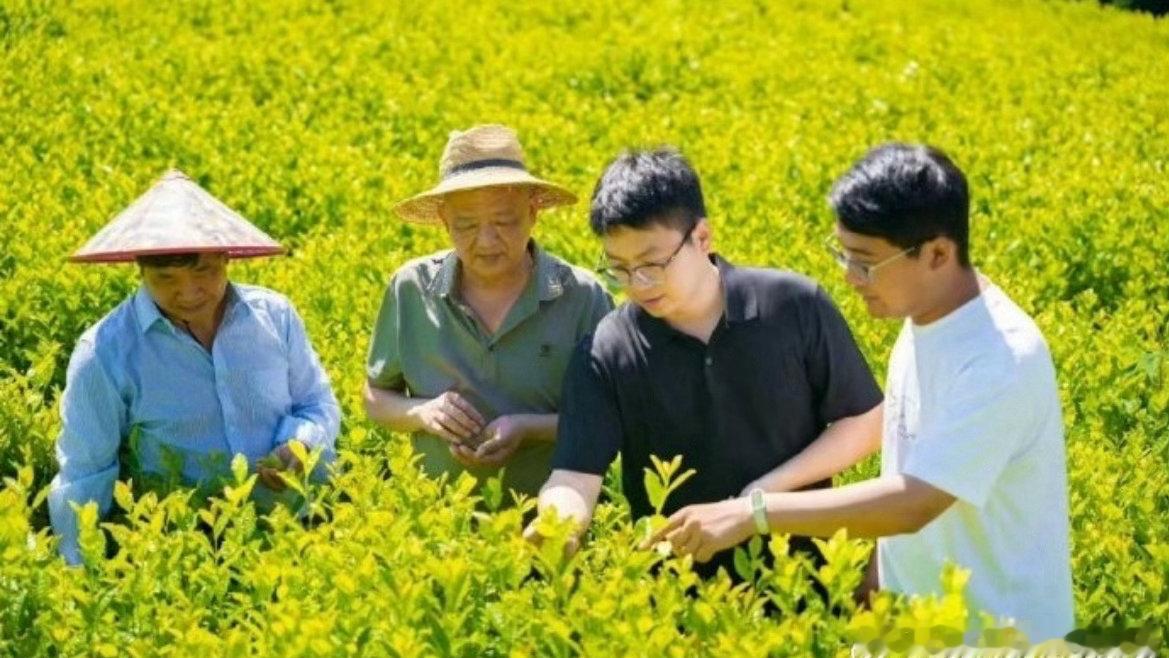 台州科技兴农绘就春日共富新图景春耕台州科技兴农，太空育梅智能养鱼，共富增收一路向