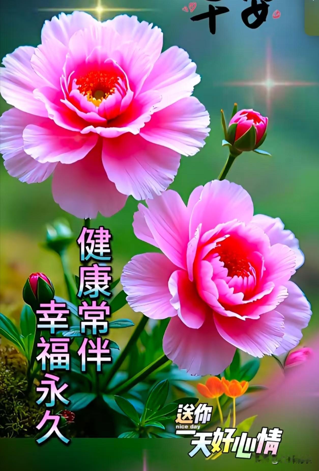 古今人生哲理

天上不会掉馅饼，地下不会长黄金，世间没有白来福，人生未有坐享成。