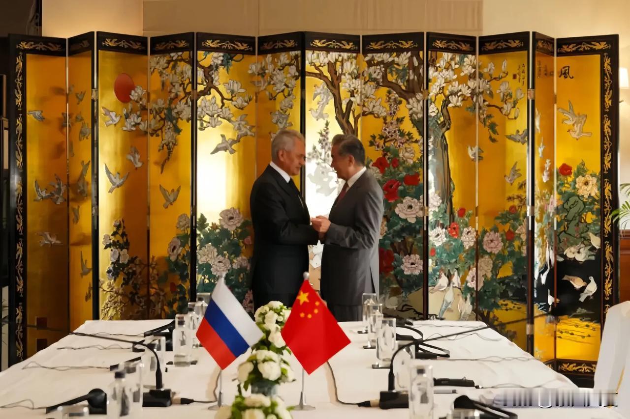 新德里重磅会面！俄乌局势迎来真正转折点。6月23日新德里开金砖大会，王毅跟绍伊古