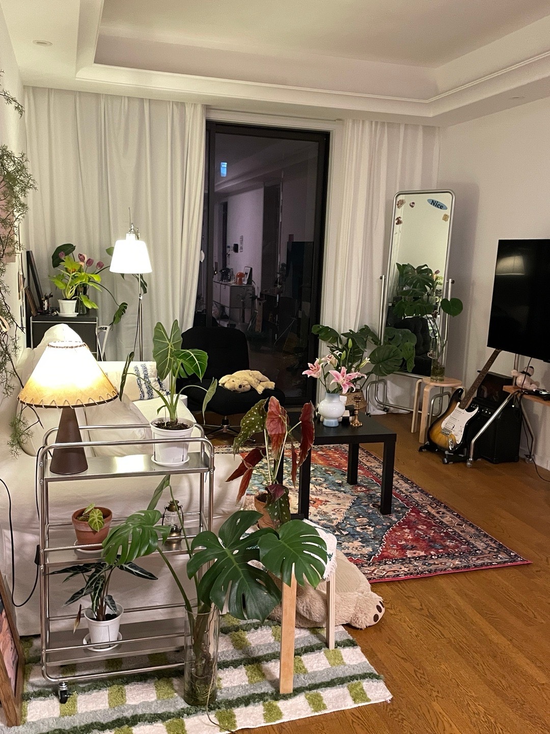 这些天当我重新去又培养种植这些植物的时候 我突然感觉我又活过来了 植物的磁场能量