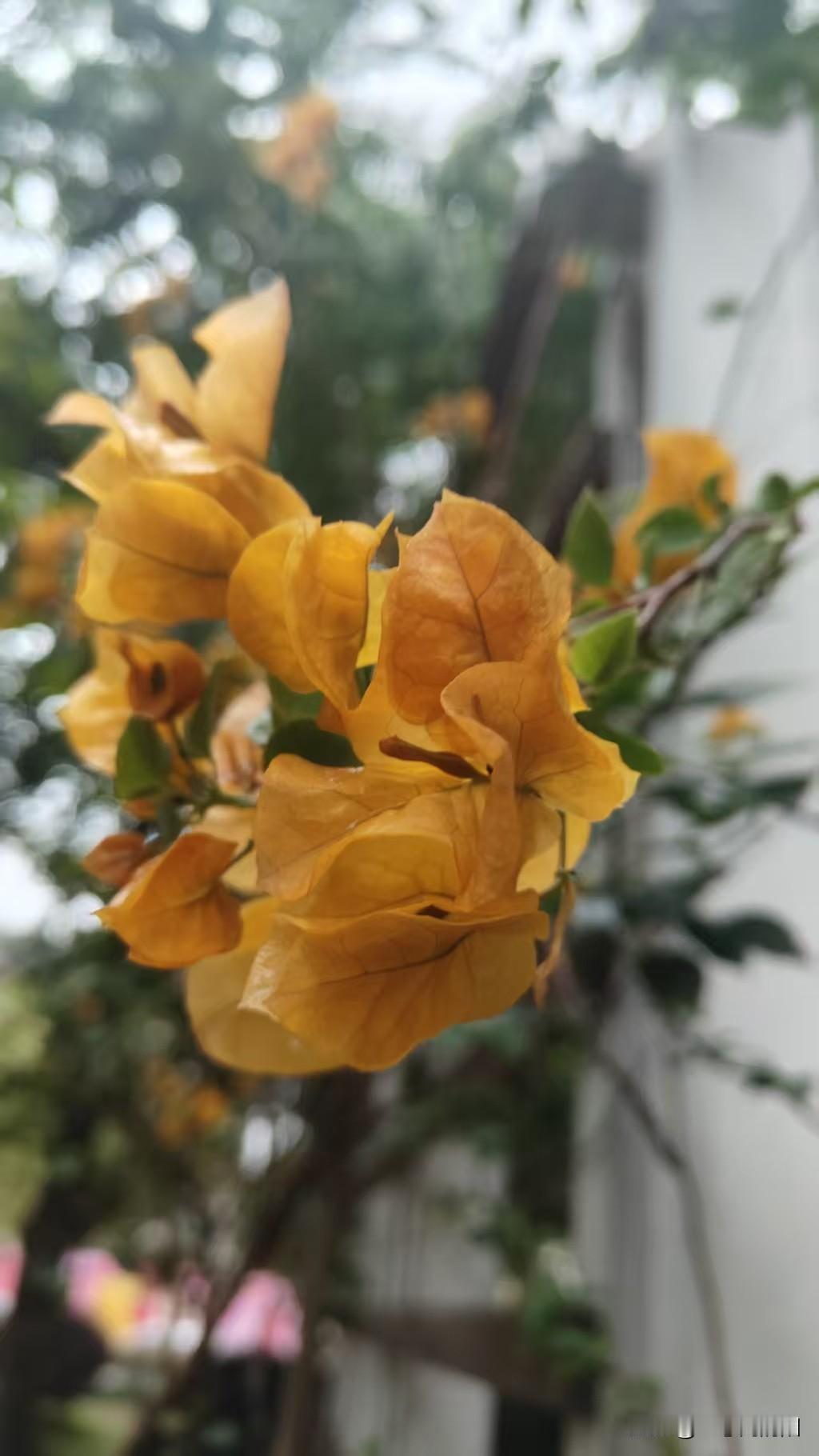 最靠谱的核心机制还是靠自己的实践，现在网络很发达，方便大家参考一些，但仅仅只是参