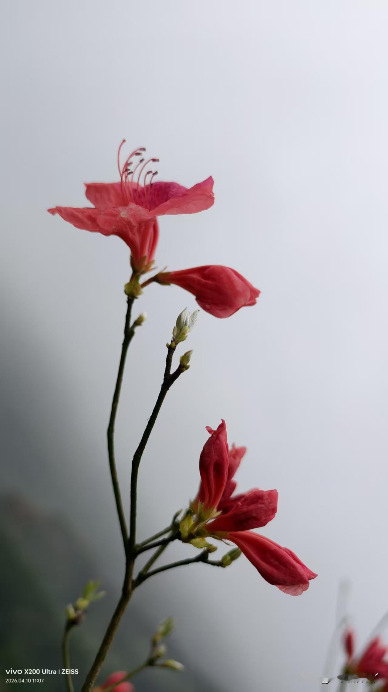 通过亲们的教育，我终于认识到：
没想买，却在超市摸了有包装的馒头、发糕，是错的，
