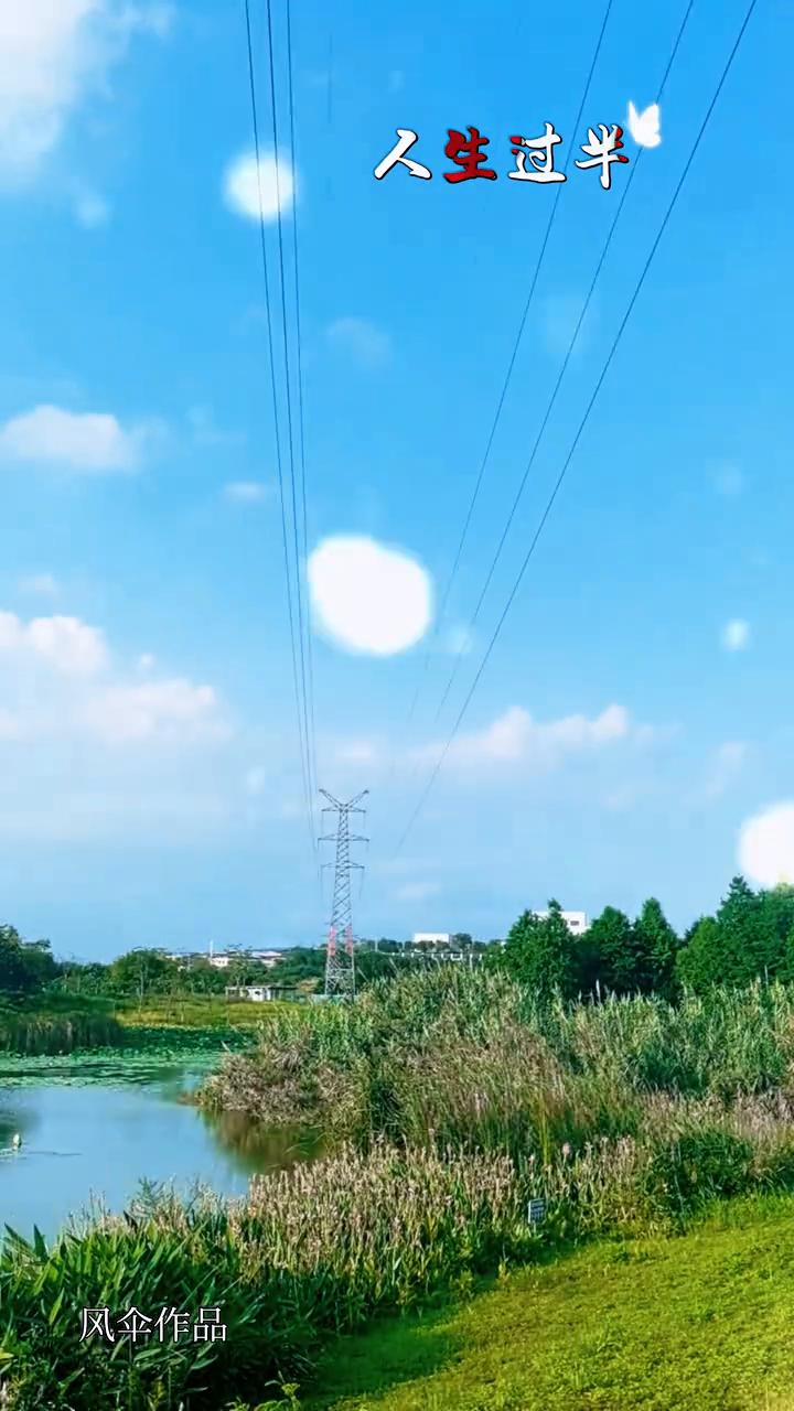 人生过半，风伞作品。
那些经过的寸错，执念，在岁月里慢慢都化作去烟。时光催着人，