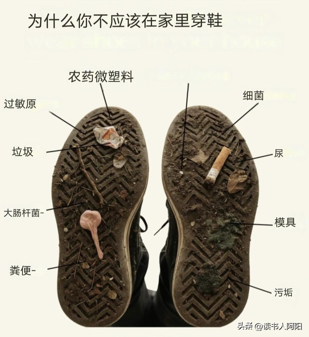 你想把粪便带到房间吗？
那就不要穿着室外鞋进屋了！
美国一位微生物学专家戈尔巴博