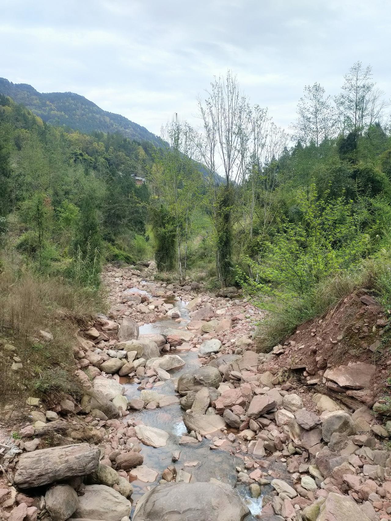 我感觉西南地区这边有山有水，风景秀丽，气候也很温和。
小溪溪水很清澈，流水潺潺，