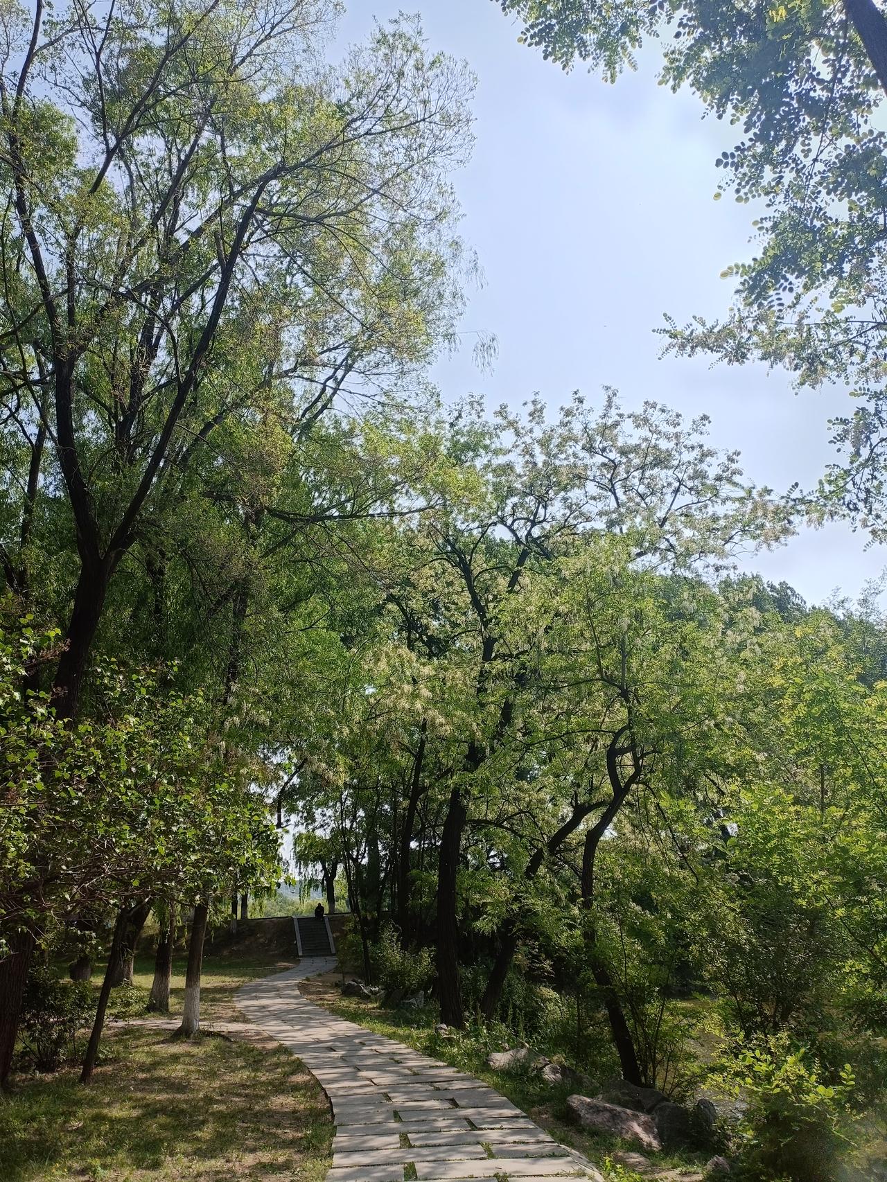 我也觉得名字不会影响运势。就拿身边的例子来说，我有个朋友叫“旺财”，按说这名字多