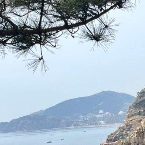 语言到不了的地方，文字可以。灵魂到不了的地方，音乐可以。心到不了的地方，梦可以。