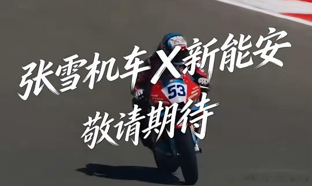 张雪拿下宁德时代大单新能安是宁德时代旗下的锂电池子公司不应该是宁德拿下张雪大单吗