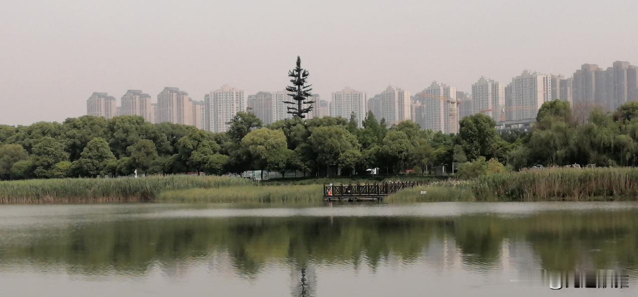 人老了为啥越来越看重钱？
人一旦上了年纪，就会悄悄变现实，变得特别看重钱。
真不