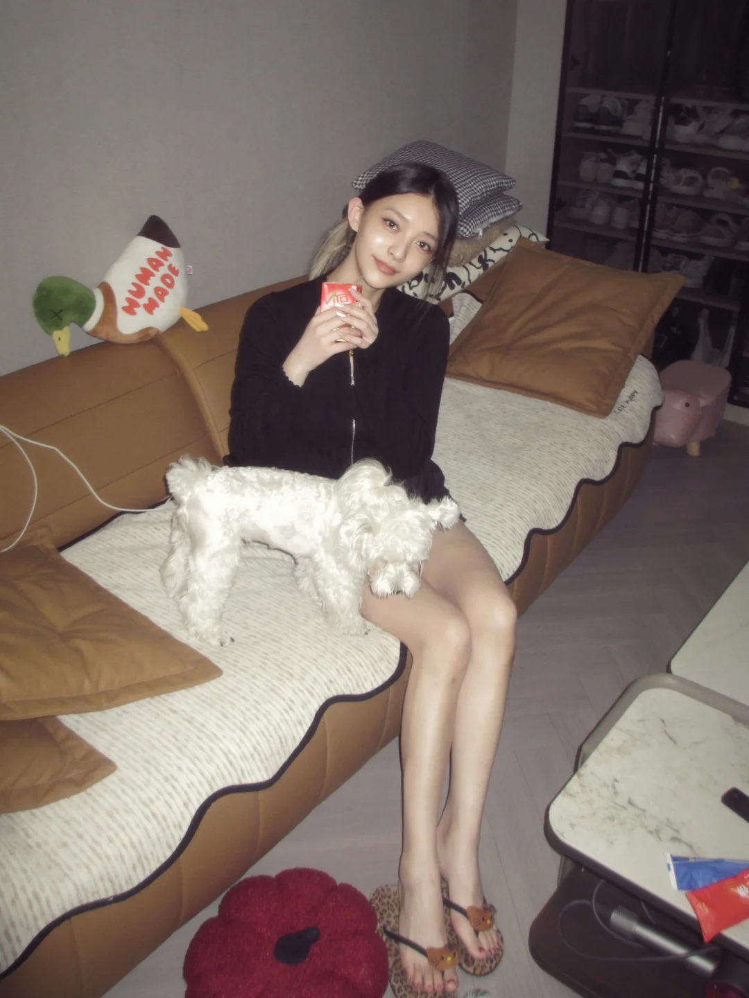 小🐱和小🐶都喜欢💕