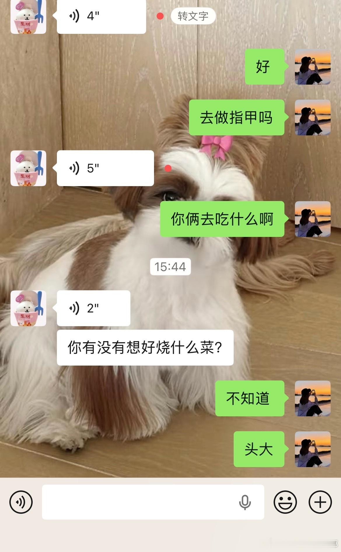 果然还是小棉袄懂我 我真的一个下午看了几次买菜软件 也不知道买啥菜