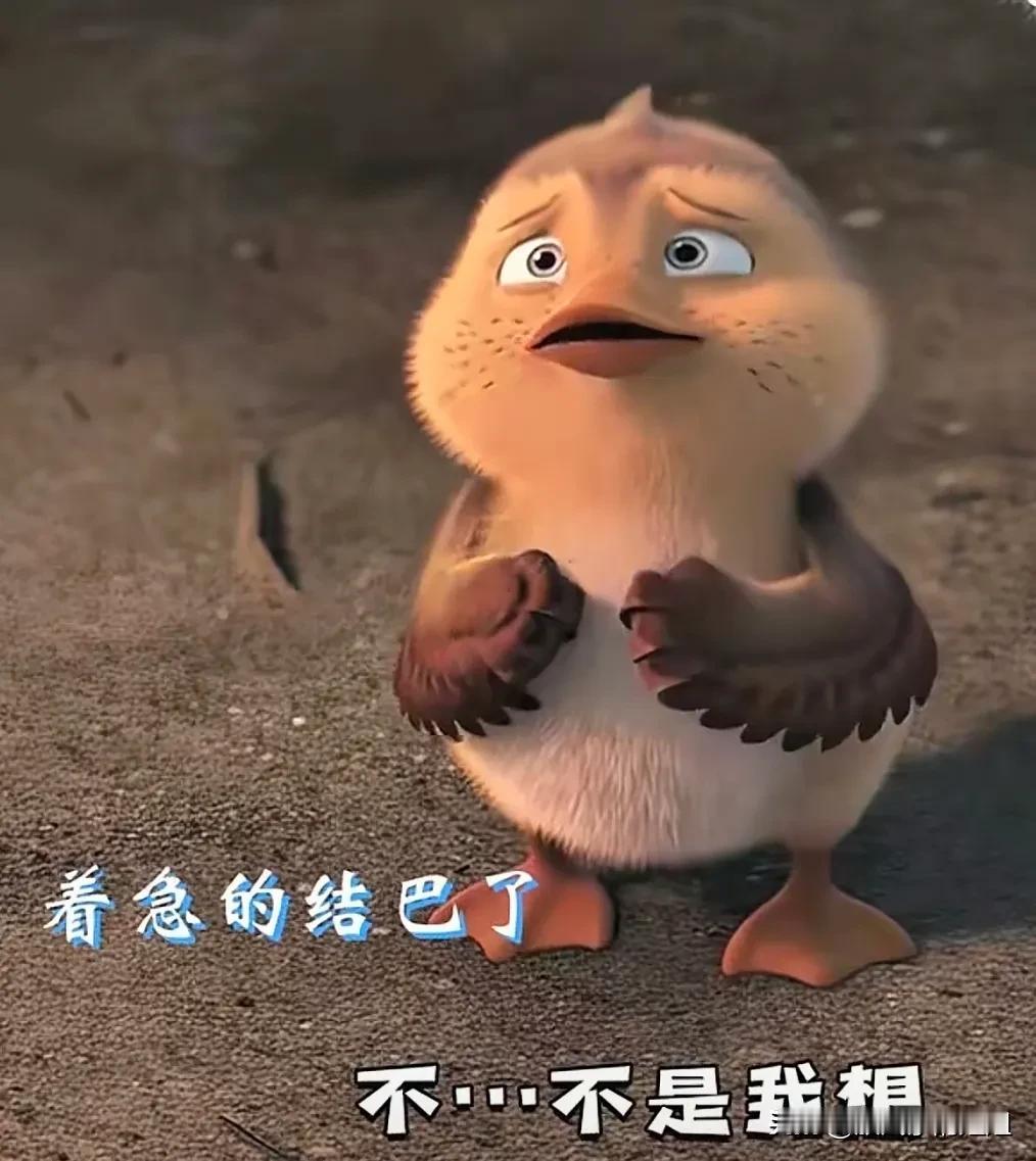 姐姐这颜值，四十多年第一次达到巅峰，太他奶奶的养眼了。

烧退了肿消了，各泡兵行