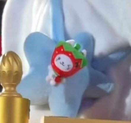🍓亲子装 