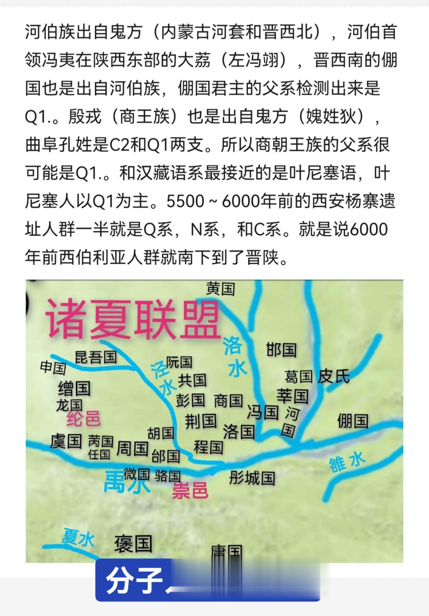分子人类学