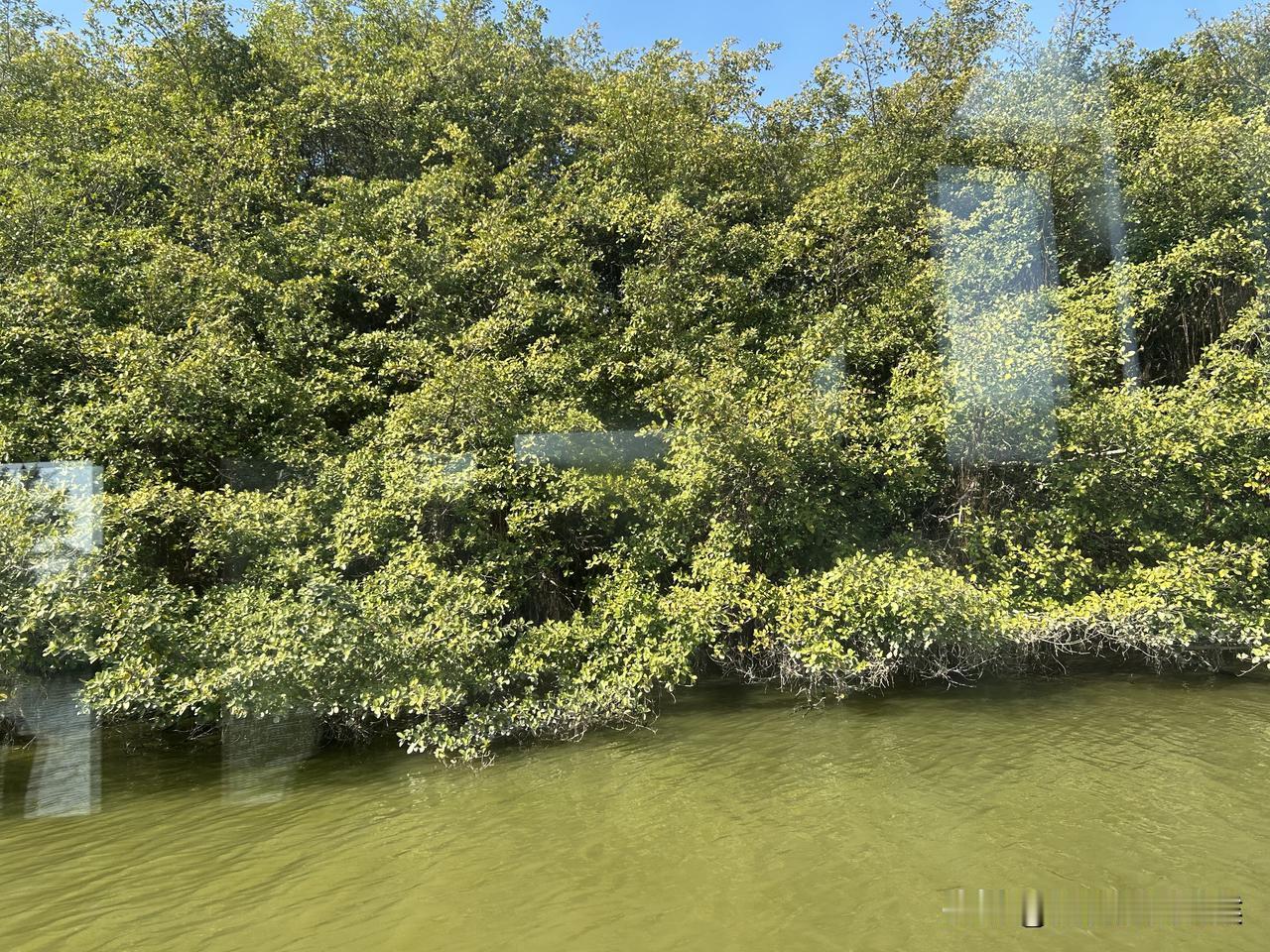 今天在医院测了视力，双眼均为0.6，难怪看东西要戴眼镜！

近年来，眼有时干涩、