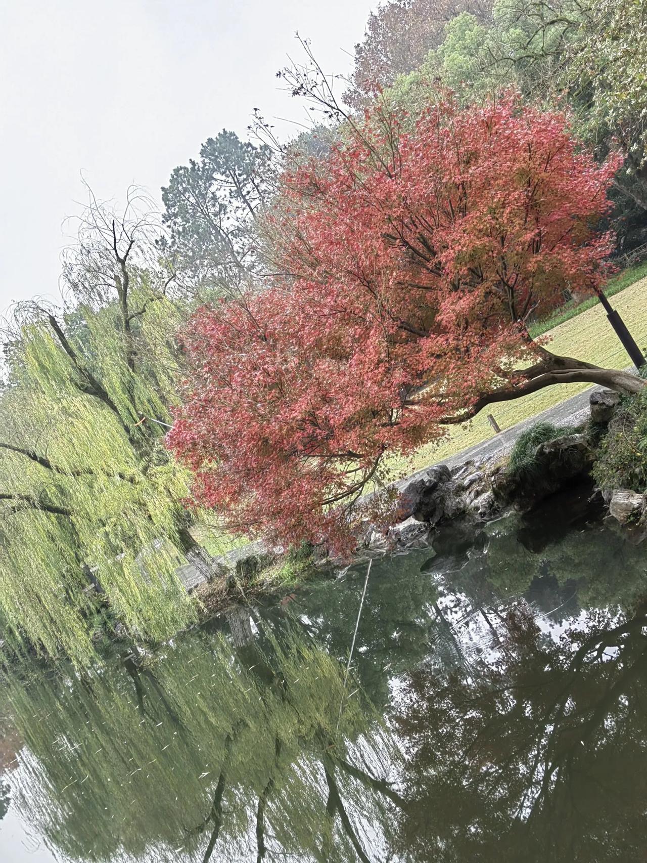 闺蜜有毒

       网上经常看到段子，被闺蜜怂恿得和男友分手，或和老公离了