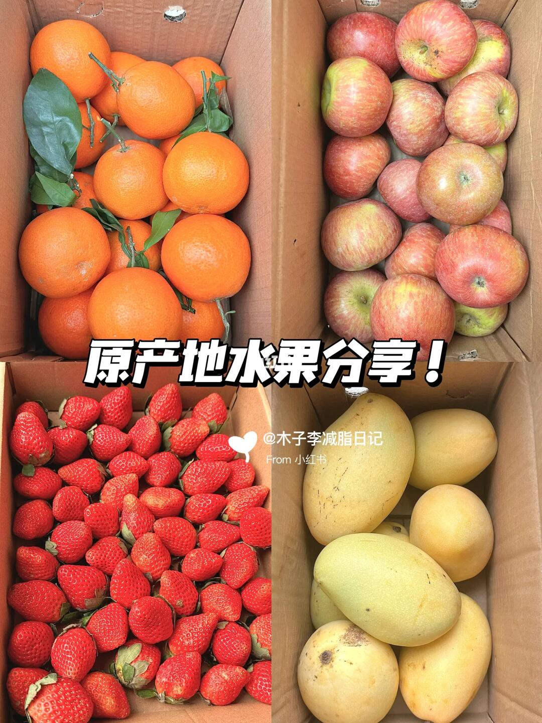 我真的太会买了🔥！实现水果自由喽～