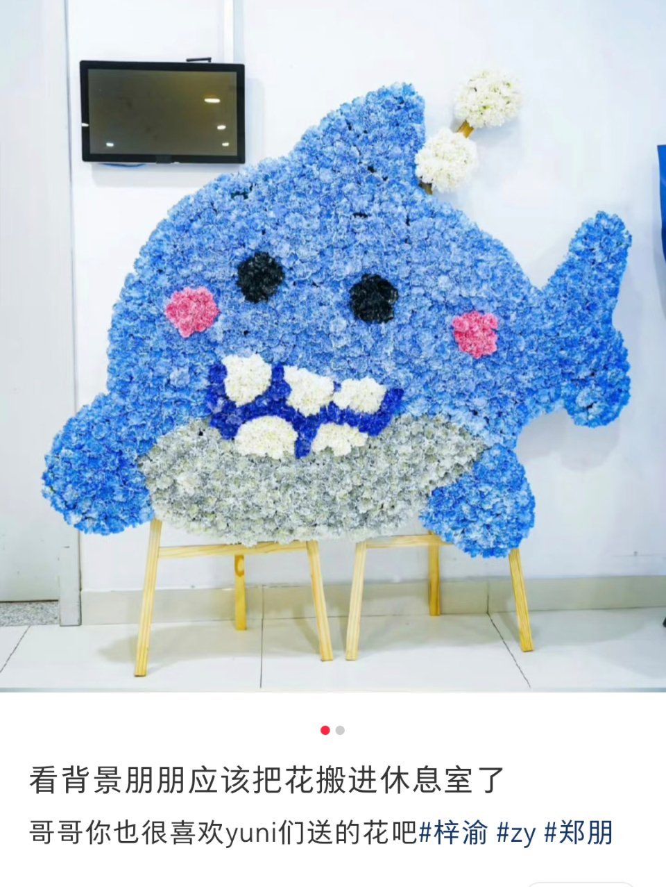 才发现这个！！！好细节啊，意思是小鲨鱼花板被朋朋喊人哼哧哼哧搬进去拍照了吗梓渝