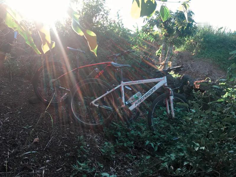 今天这爬山状况，简直像打翻了五味瓶，一言难尽呐！就说1月5日临沧那事儿，有驴友爬