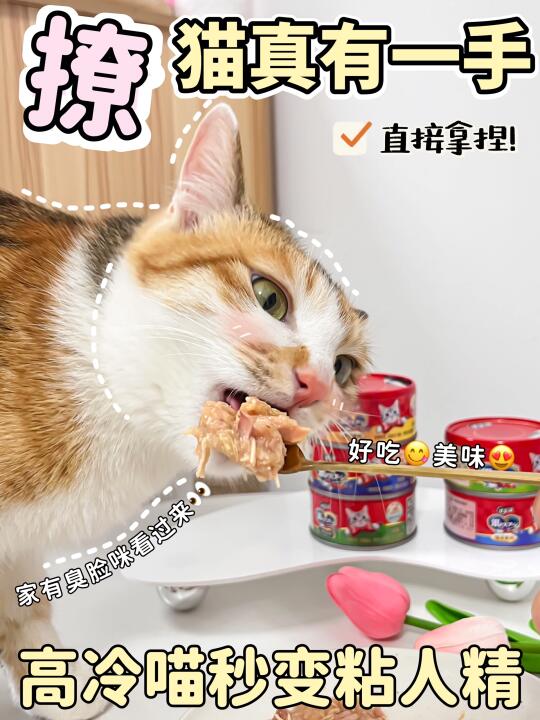 拿捏高冷猫，银勺立大功，超值羊毛火速薅~！