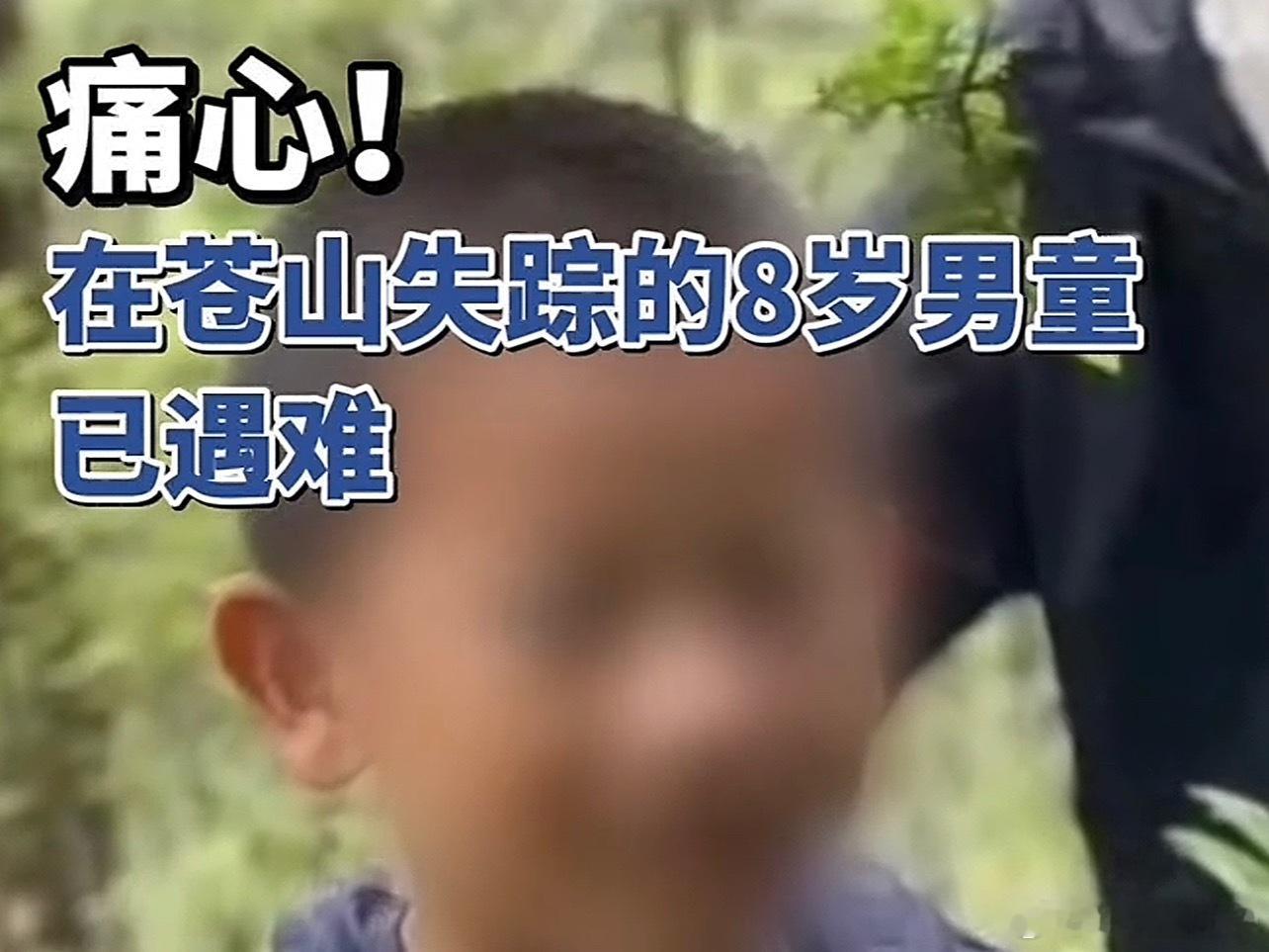 大理苍山失踪8岁男童不幸遇难他一个人孤零零的时候是多么的绝望 ​​​