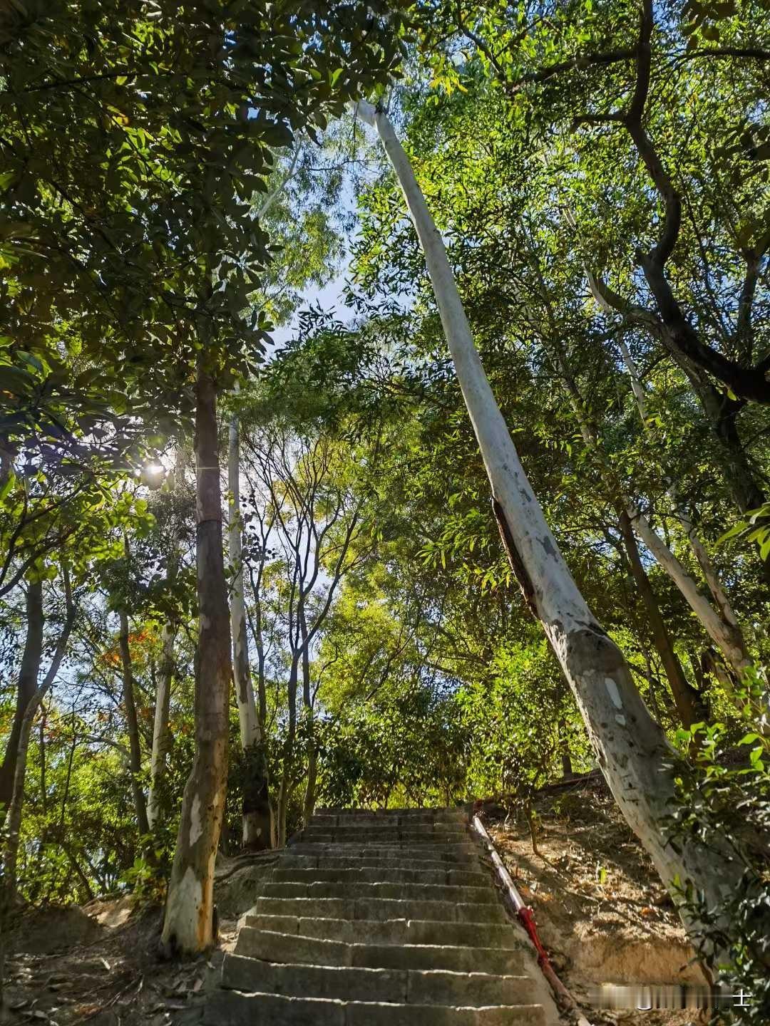 在人生的旅途中，我们不断地学习、成长，面对各种挑战与机遇。为了更好地认识自己，实