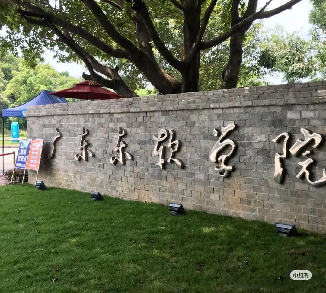 侄女去广东东软学院报到，四年下来学费生活费要花掉二十万。
这笔钱对一个普通家庭来