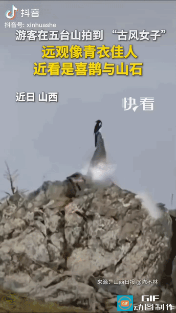 “上新华社了!” 山西，一名男子去游五台山，远远看见一位古风美女站立山顶拍照，不