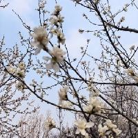我的今日状态：😁轻松愉快
我这里的天气：☀️晴天