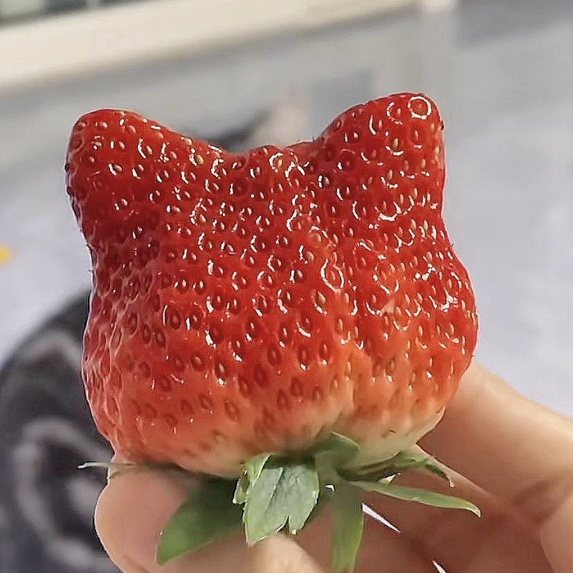 宝宝，你是一颗小草莓🍓 