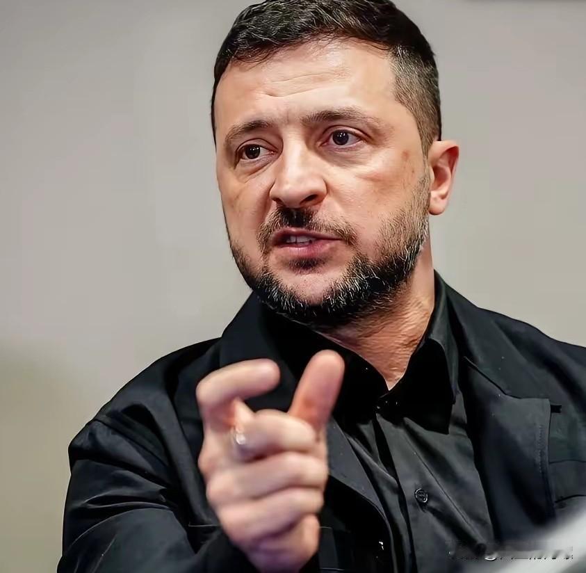 无言以对！昨天，乌总统严正发声，指责欧洲承诺的援助资金未能按时付款，导致防空拦截