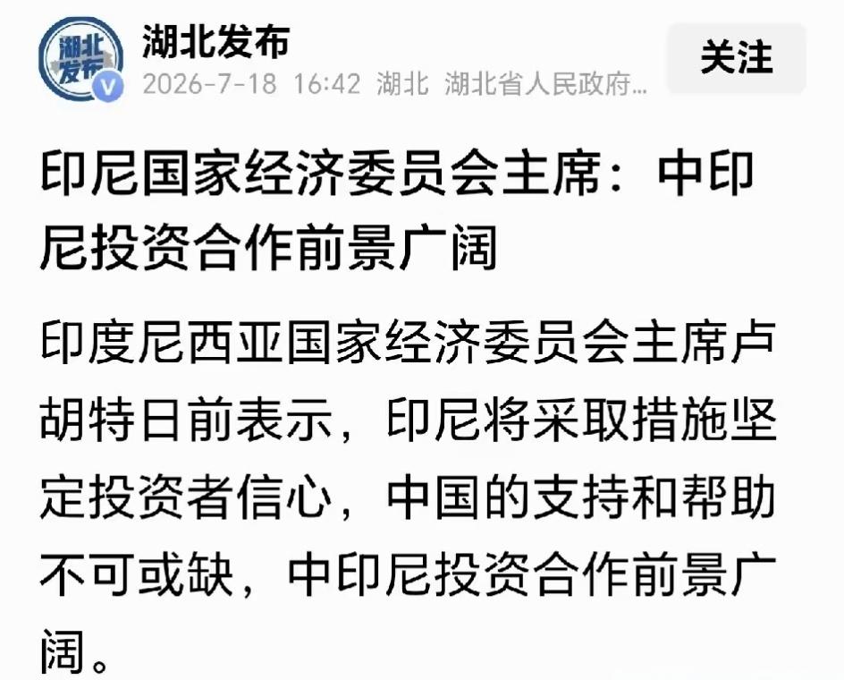 说几句好话又想骗中资去印尼投资 ?
亏只能吃一次，这次再去那真是没救了。还是那句