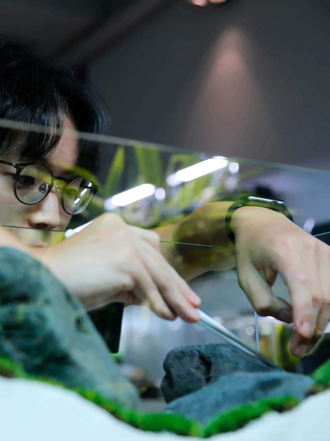 Suikei Creator 荒木大智 造景现场｜