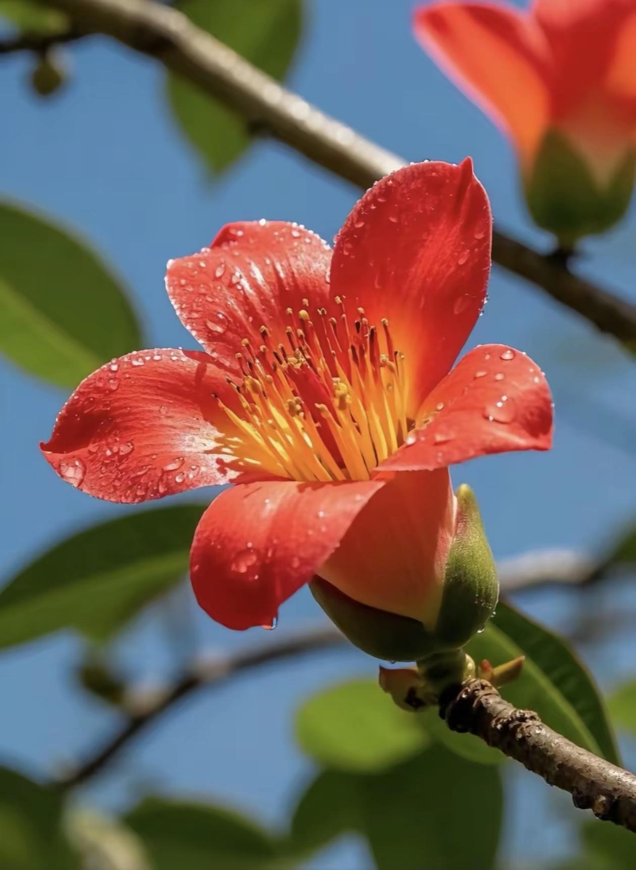 学会欣赏自己
 
不必总盯着别人的光，
忘了自己也在发亮。
 
学会欣赏自己，