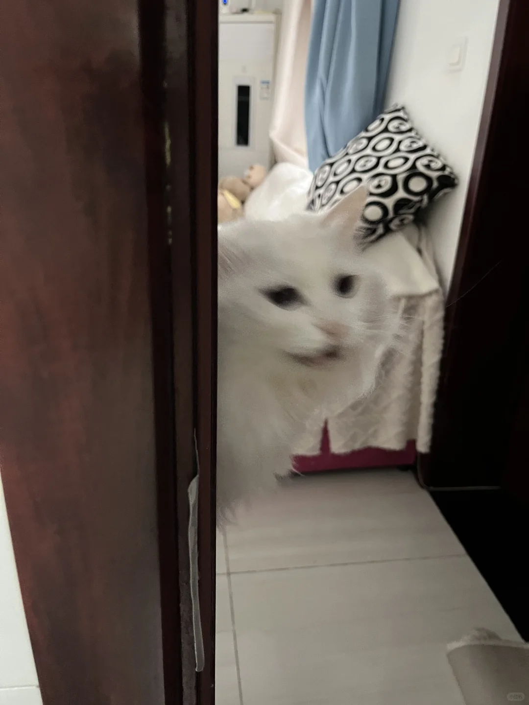 好好好 出来了出来了