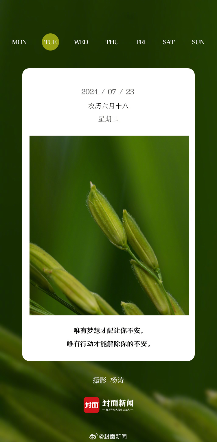 #小封日历# 早上好，今天周二！你最近新get的网络热梗是什么~[举手] ​​​