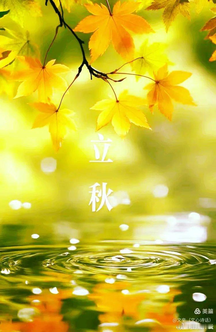 💽节气诗专辑（原创首发）💽       •立秋组诗•           作