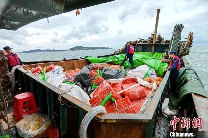 漳州海警局27日披露，查获一起涉嫌走私冻品案。该局漳浦工作站联合漳浦县公安局近日