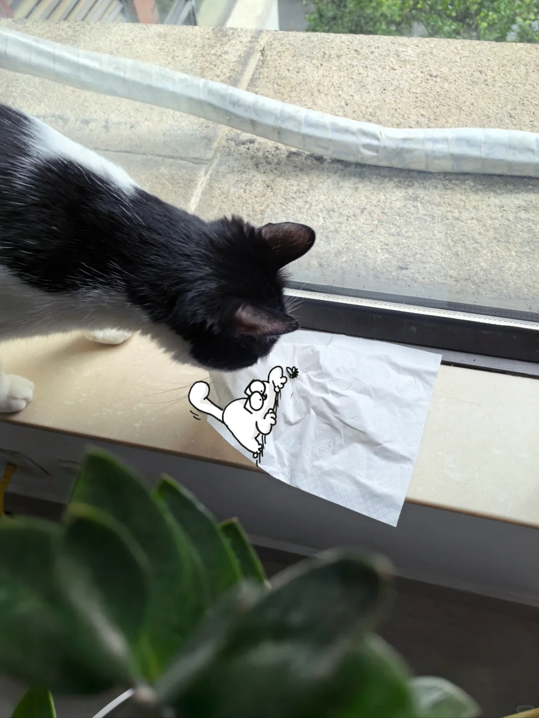 养猫千日 用猫一时