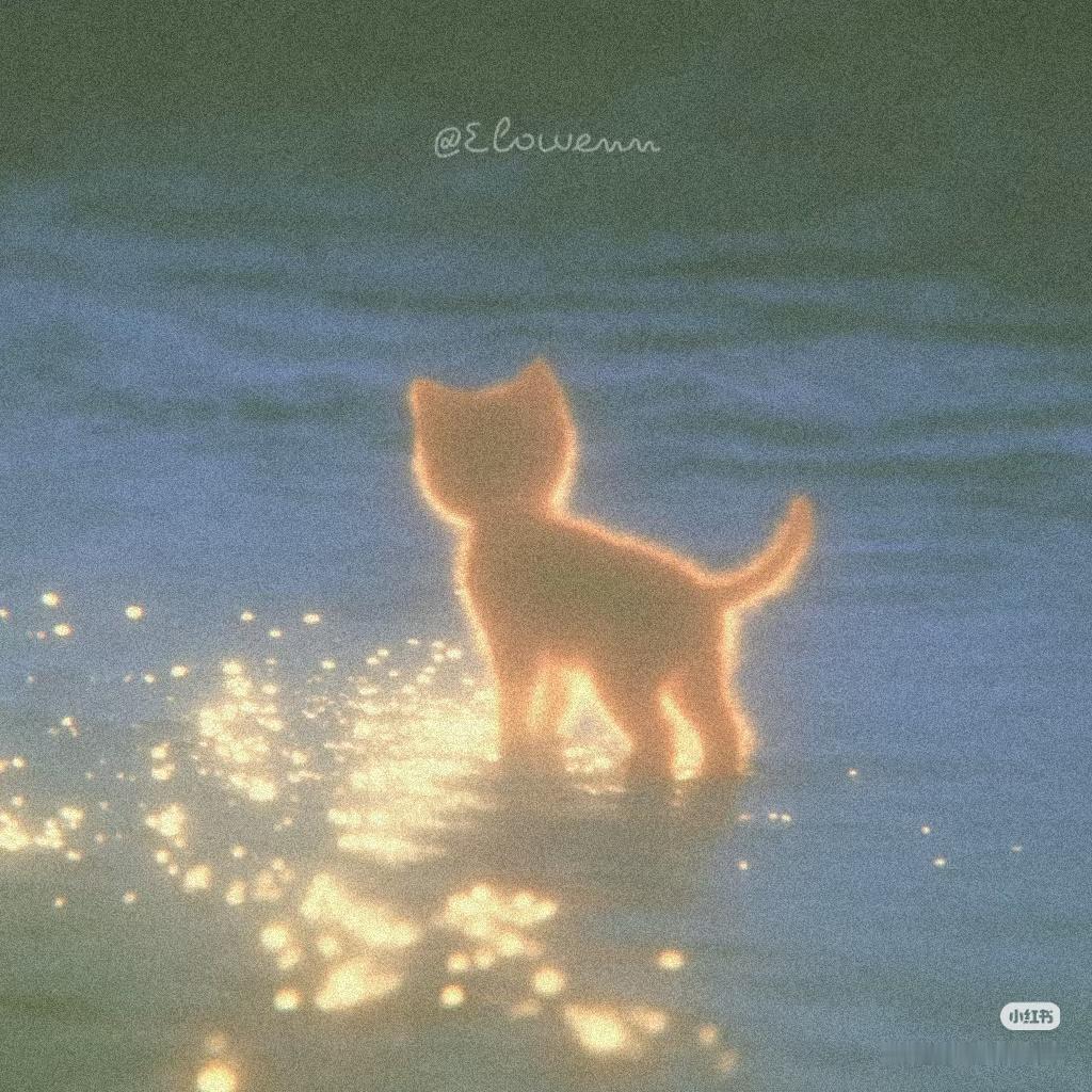 小猫猫 