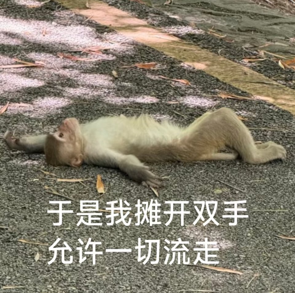 分享图片 