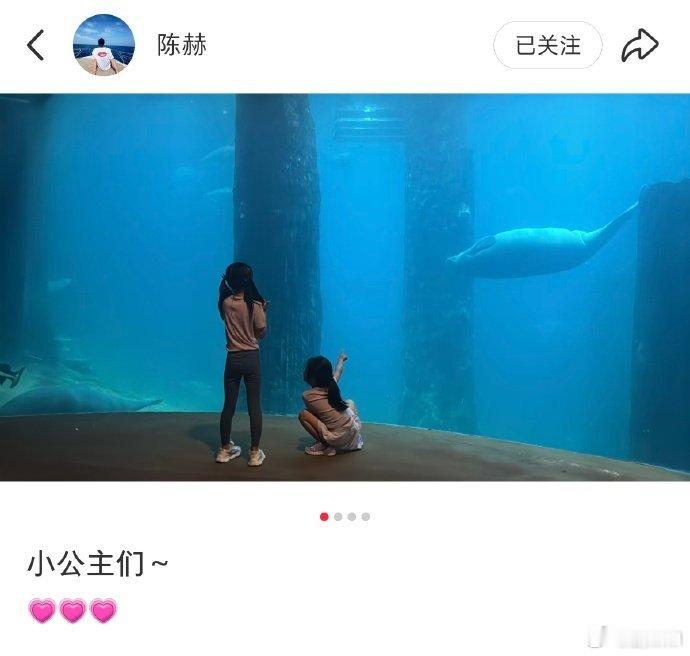 陈赫晒张子萱和女儿背影照 陈赫晒张子萱母女背影，没想到他也是挺居家的[doge]