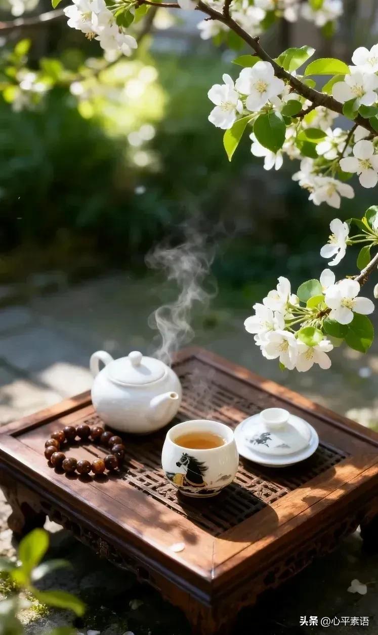 奉劝大家：
桃酥、即食燕麦、
米粥、腌菜、隔夜菜，
老年人都要少吃。

昨天去看