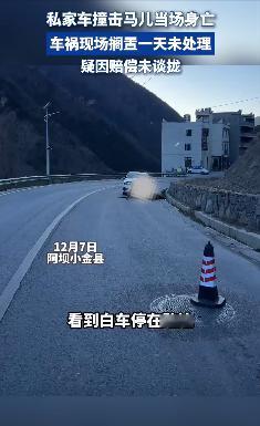 四川，一私家车国道行驶时与马匹相撞，马儿当场死亡，马主人要求索赔3万块，保险公司