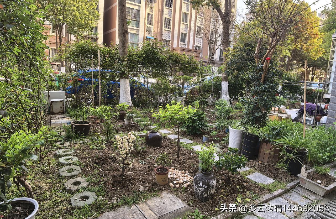 昨晚和那货吵了几句，他还是老一套，进到自己的卧室关门睡觉。大清早赶快起来去买了菜