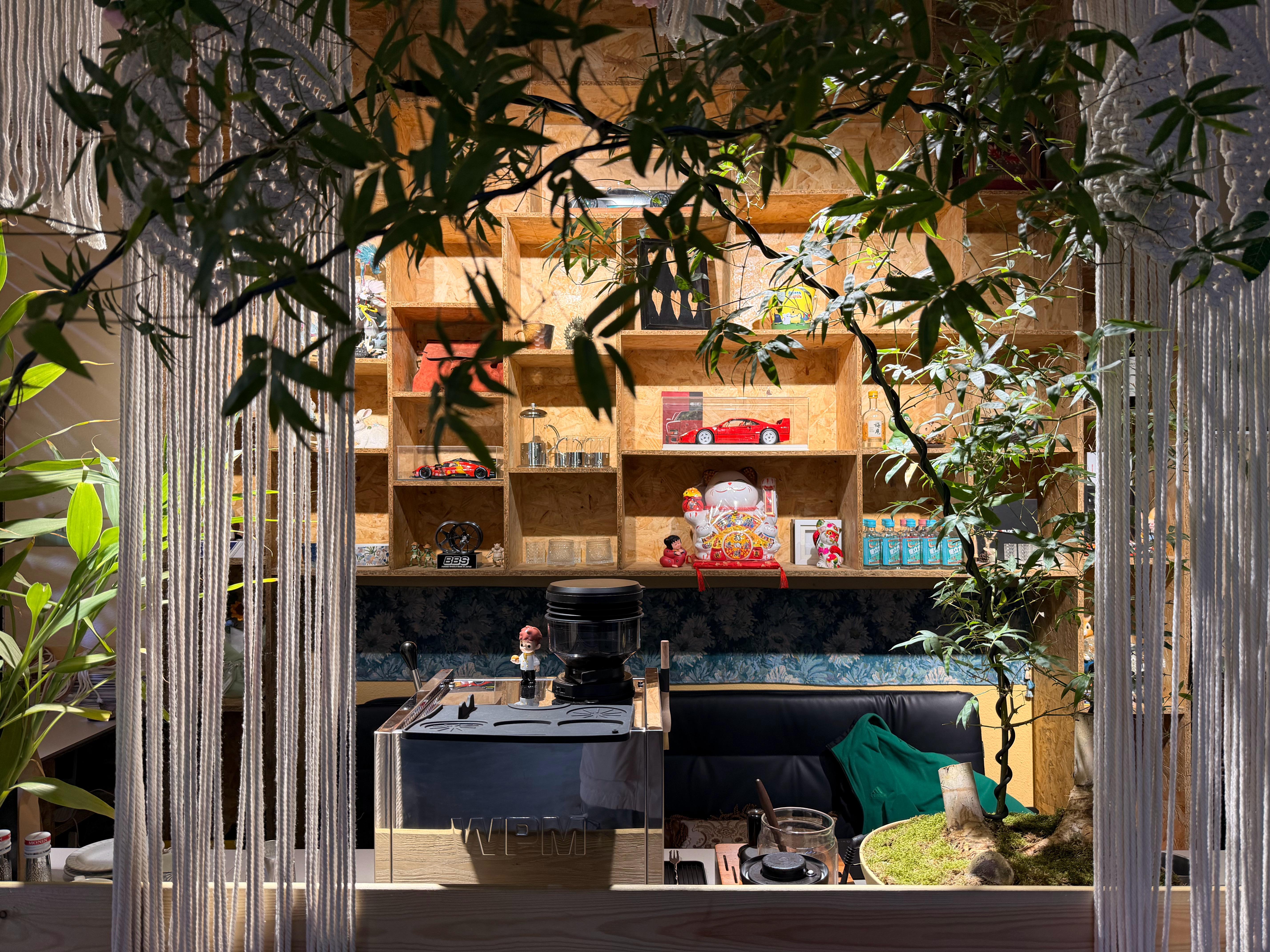 藏在热带雨林里的咖啡店你别说～环境真好，整个一个室内氧吧～改天来这边拍一组人像给